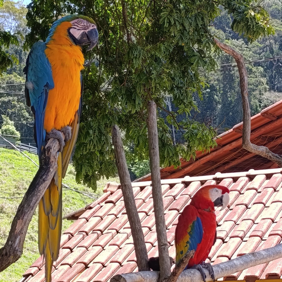 anolaphi's tweet photo. a vida fora do twitter https://t.co/mH0flo11ZT