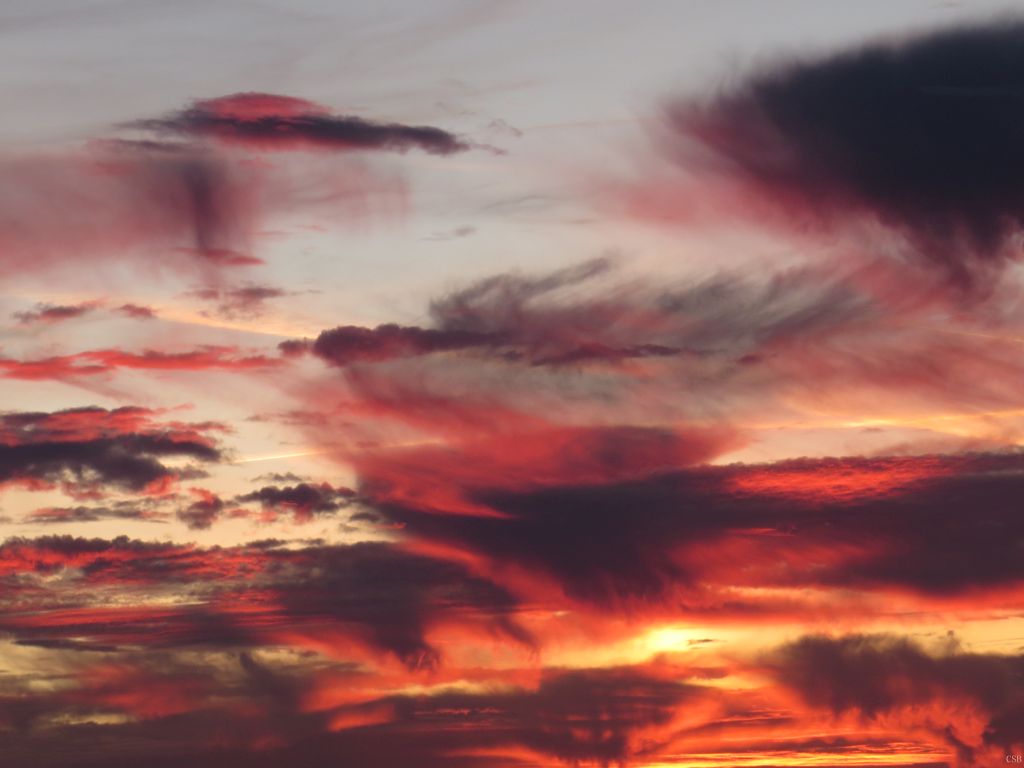 beingmyself_25's tweet photo. 15.10.2026 um 18:40 Uhr
So was hatte ich bisher auch noch nicht gesehen  
#NachSonnenuntergang #AfterSunset #Herbst #Autumn #LDK #15Okt26 https://t.co/PVdBKveXCI