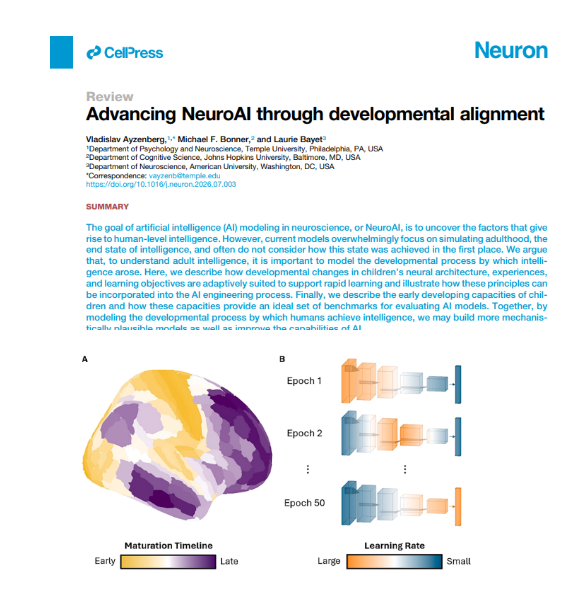 BioAI_NeuralNet's tweet photo. Advancing NeuroAI through developmental alignment
https://t.co/seTZAAsdEt

SUMMARY:

1. Model the development of intelligence, not just its adult state. Current AI models primarily aim to replicate adult-level abilities. NeuroAI should also investigate how intelligence develops from infancy to adulthood to understand the mechanisms that produce sophisticated cognition.

2. Build AI architectures inspired by brain development. The human brain develops hierarchically, with sensory regions maturing before higher-level association areas. AI could adopt this principle by training early layers first and progressively developing higher-level layers, potentially improving robustness and learning efficiency.

3. Use developmental learning as a curriculum. Children encounter information in a natural progression from simple to complex. Training AI with gradually increasing complexity, such as blurry-to-clear images or simple-to-complex visual experiences, may improve generalization, robustness, and data efficiency.

4. Learn from children's limited but meaningful experiences. Unlike AI models trained on enormous datasets, children learn remarkably well from relatively few experiences. Training models on realistic, child-centered sensory data and age-appropriate experiences may help reduce their dependence on massive datasets.

5. Incorporate curiosity-driven learning and exploration. Children actively seek information that is neither too easy nor too difficult to understand. AI models could use predictive learning, information gain, and the ability to select their own experiences to develop more efficient and adaptive learning strategies.

6. Treat developmental milestones as benchmarks for AI. Children's perceptual and cognitive abilities emerge in a characteristic sequence. Evaluating whether AI models acquire similar capacities over training—not merely whether they achieve adult-level performance—could reveal whether their learning mechanisms resemble those of humans.

7. Use NeuroAI to discover the mechanisms of intelligence. By manipulating neural architecture, training experiences, and learning objectives in AI models, researchers can test which factors are necessary or sufficient for particular cognitive abilities. This approach can also help explain brain development, identify mechanisms of dysfunction, and inform future clinical research.

8. Integrate architecture, experience, and learning objectives. These three factors interact throughout development and should not be optimized independently. A developmentally informed approach could produce AI systems that are more biologically plausible, robust, energy-efficient, and capable of generalizing beyond their training data.

Central message: To understand and reproduce human intelligence, NeuroAI must study not only what the adult brain can do, but also how the developing brain acquires those abilities. Childhood development offers a powerful blueprint for building more capable and biologically grounded AI systems.