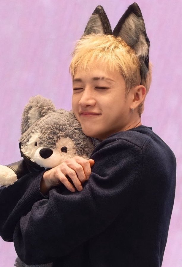 gnabnahc97chris's tweet photo. chan hugging the wolf plushie while wearing wolf ears… i’m completely and utterly devastated 😭 https://t.co/jXOyUVHeX0