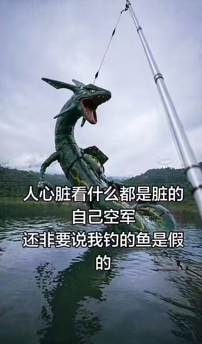 almalimahb's tweet photo. 这裂空座一看就是野生现钓的 https://t.co/SQfoxue3fx