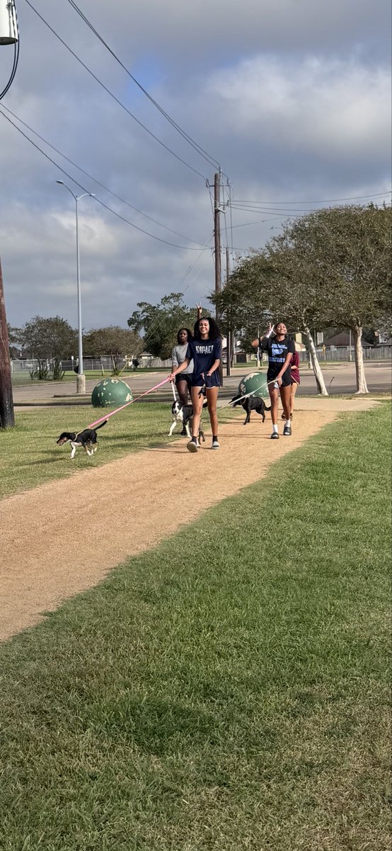 ladybuchoops's tweet photo. SERVICE! 🐾🏀

Representing our program, making an impact in our community, and having FUN while doing it!

Proud of the way y’all continue to show up and represent something bigger than basketball!

#F5 🏴‍☠️
#WhereYaFrom https://t.co/IVB64EOQH8