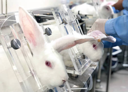 Timely_Lohen's tweet photo. I think its really interesting how lohen is associated with rabbits especially since rabbits are experimented on a lot https://t.co/R08t0cTOAQ