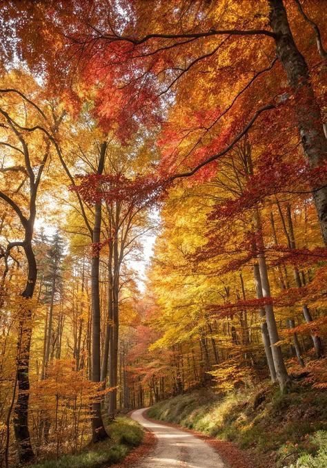 NurseLJohn707's tweet photo. A positive life requires a positive outlook. https://t.co/wq34ocupOq