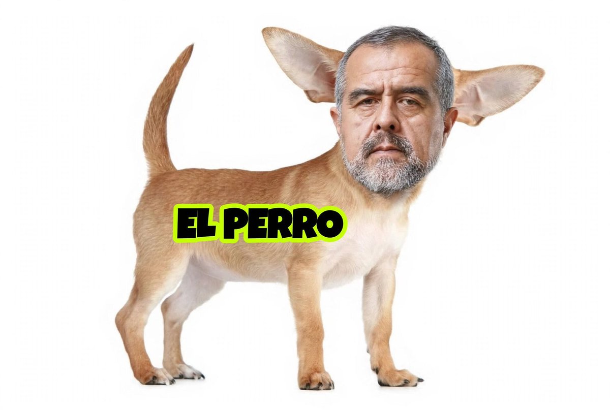 ysabellperusa's tweet photo. @LAMZ50004620 @presidenciaperu https://t.co/wSe4tqMUnk