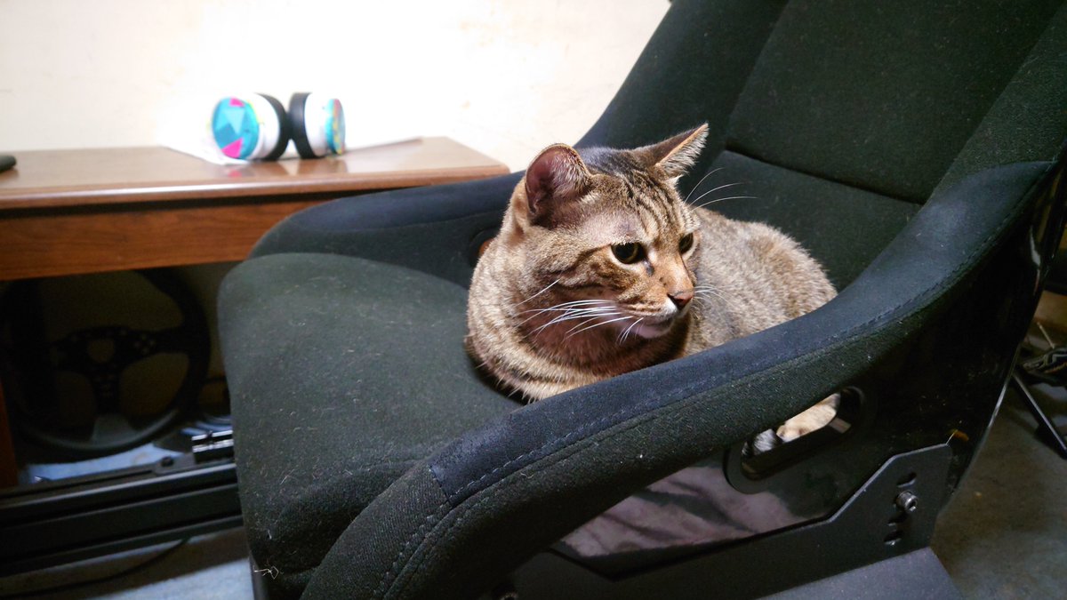 Lucifer_JZZ30's tweet photo. ゲームをやらせてくれないミヤビ先輩かわいい😼 https://t.co/j4lYUCpevF