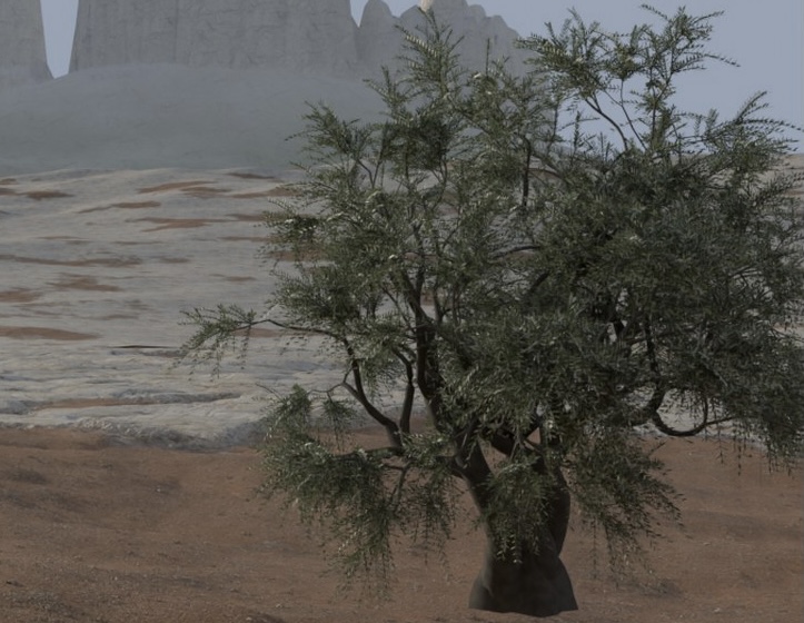 irushkamakes's tweet photo. my first olive tree attempt next to the latest one. still figuring things out, but pretty happy with the difference 🌿 https://t.co/XBAO3w1f6V
