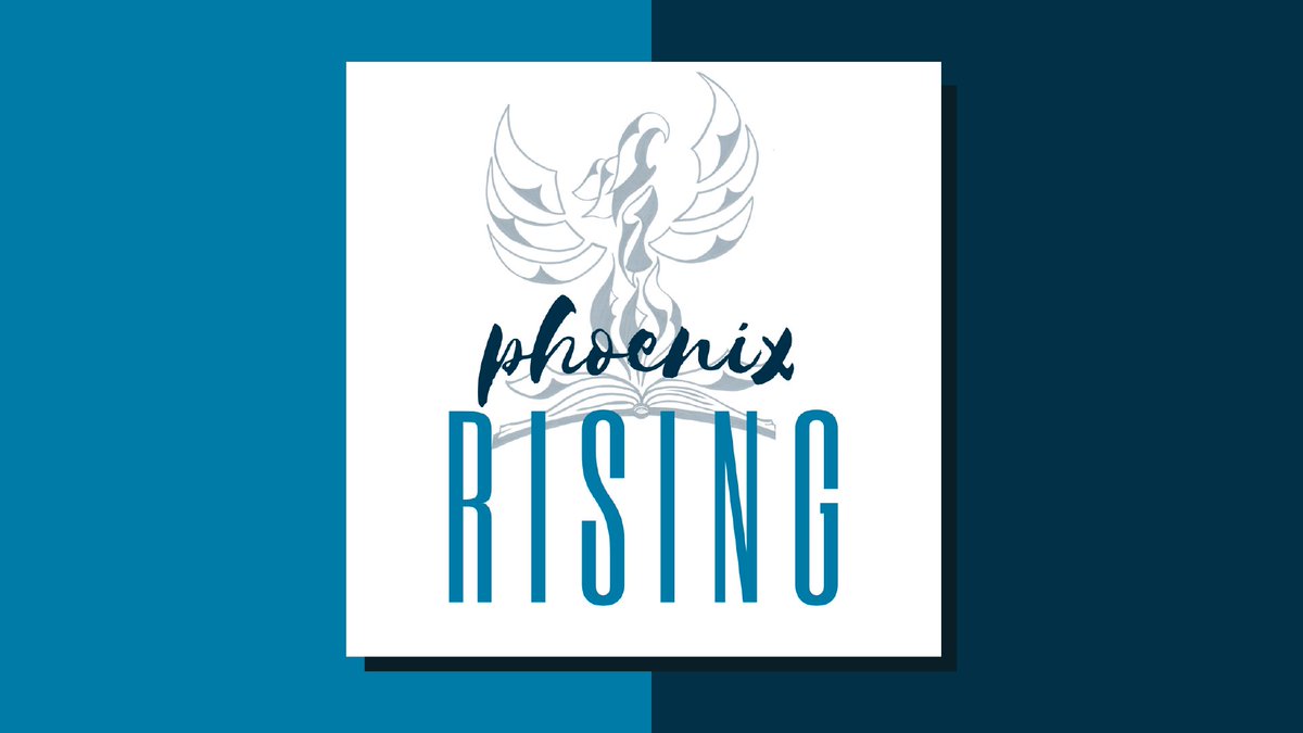 calgarylibrary's tweet photo. When the sun sets, another world awakens. Join us and Phoenix Rising at the Plaza Theatre on October 21 at 6:00 pm for an unforgettable evening of interdisciplinary conversations exploring the many meanings of the night.  
In partnership with Mount Royal University's Faculty of Arts. 

Register today by visiting: https://t.co/FOGYBpEONC

#CalgaryLibrary