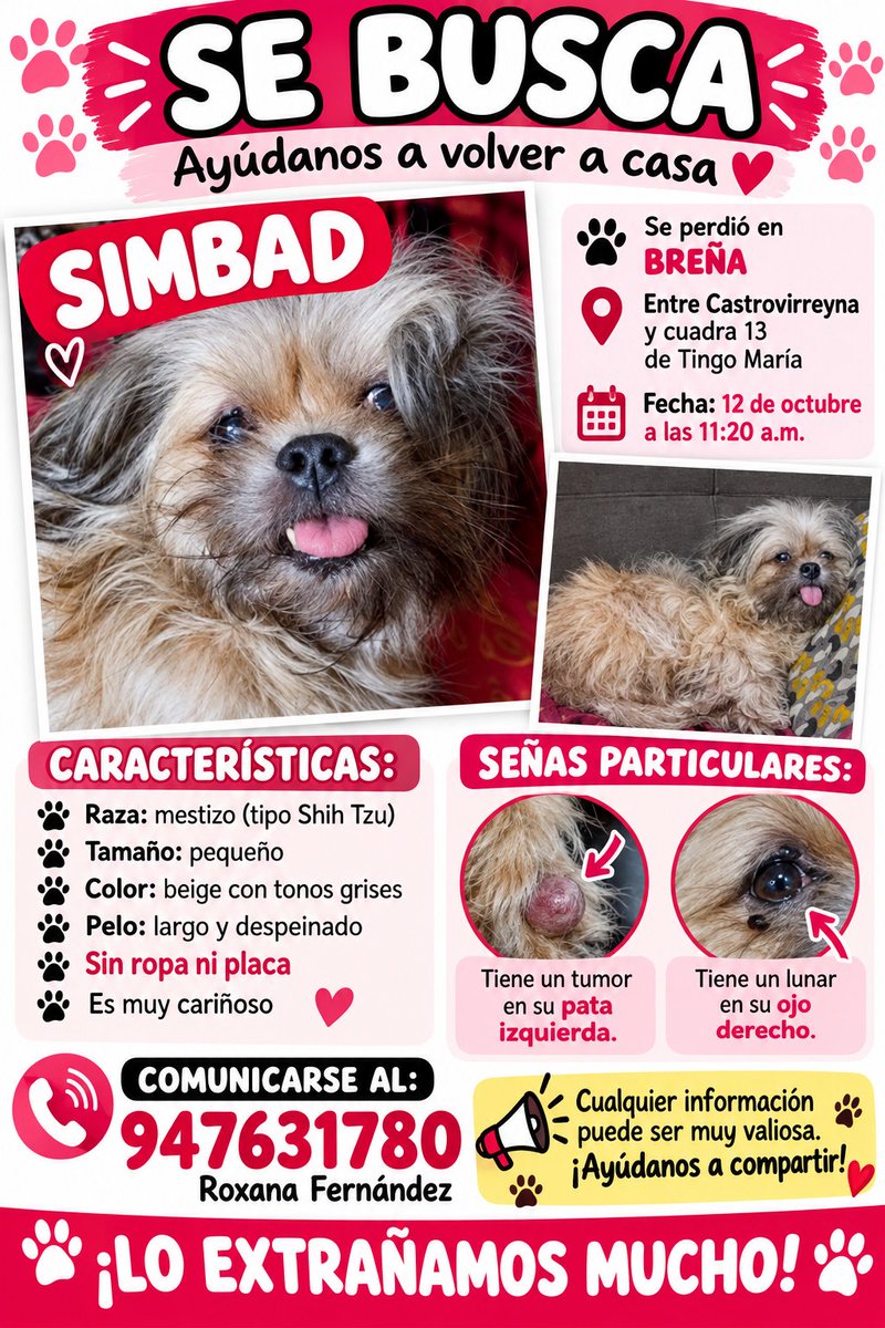 PawFindr's tweet photo. Se busca a Simbad 🥺🙏 Amigos de Breña, ATENTOS 🚨🔊 COMPARTAN #PawFindr #Mascotas #MascotasPerdidas #ayudaanimal https://t.co/11Fn6IExjB