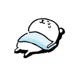 Photo by 진짜 강한 사람 (@405soo)