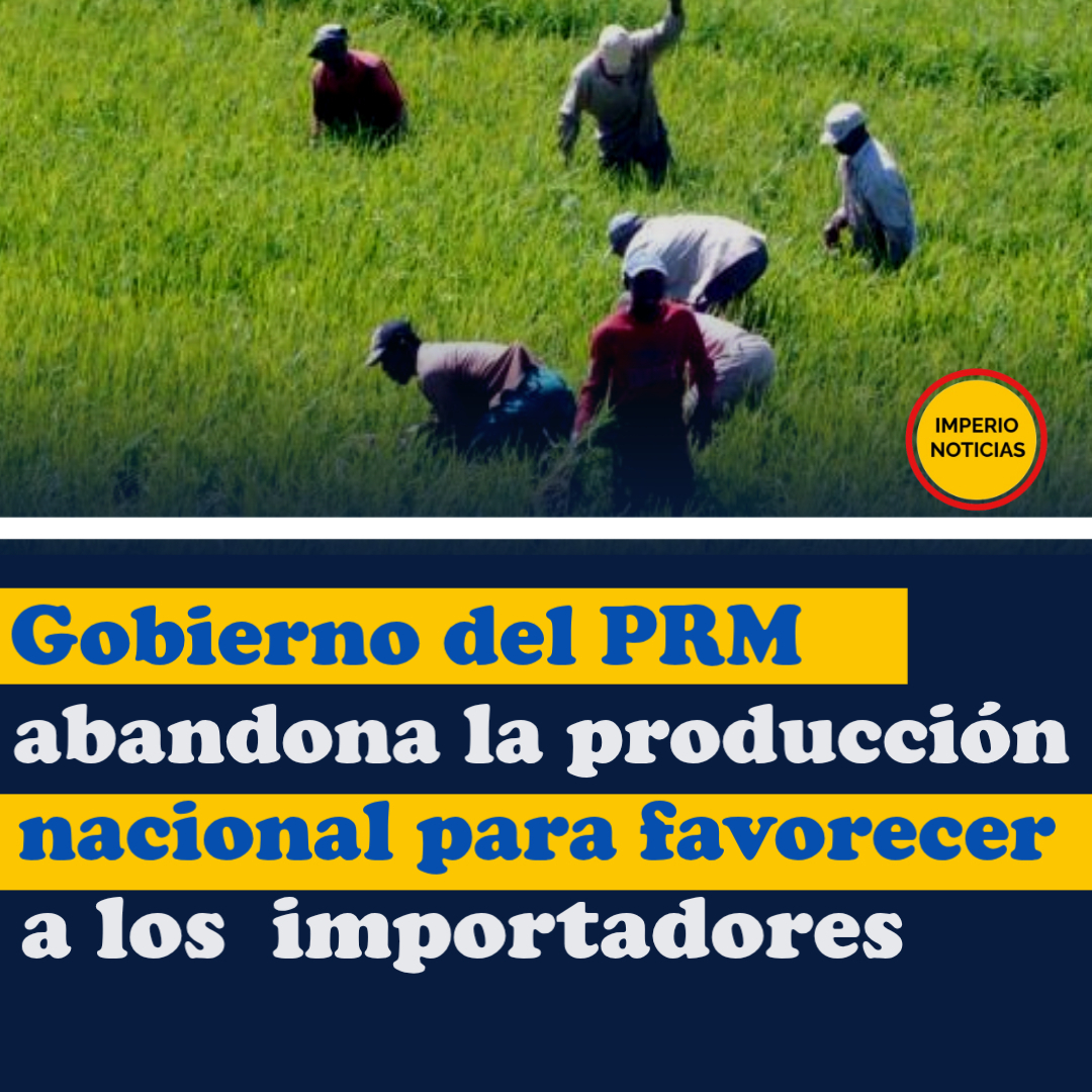 palmaverd's tweet photo. Gobierno del PRM abandona la producción nacional para favorecer a los importadores. https://t.co/r9f7yDRGSa