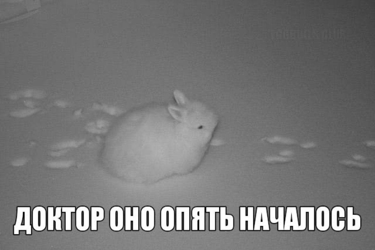 wilxkll's tweet photo. побегал от алкашей, посмеялся, наебнулся. считаю, день удался https://t.co/iu8Hkhqf8j