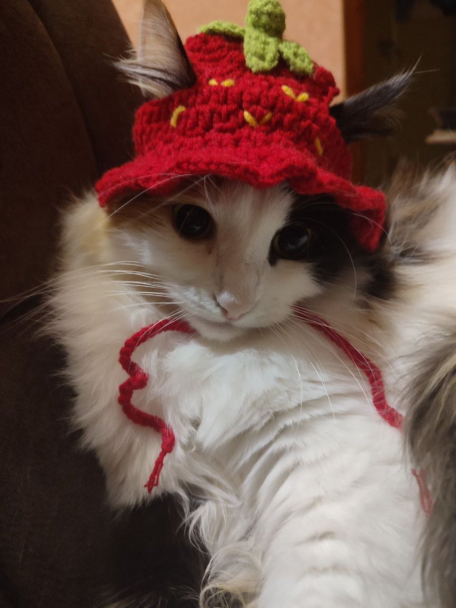 murkaultimate's tweet photo. EVERYONE LOOK AT HER!!!!!!!!!! https://t.co/6OZxu9KOKv