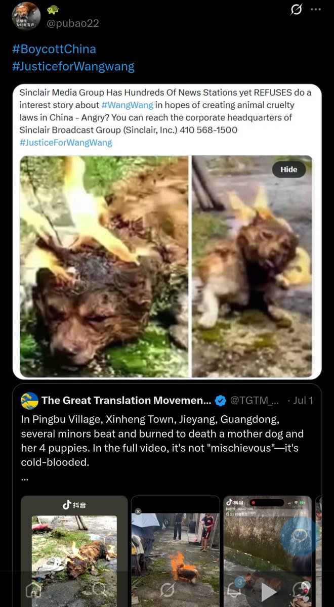 PhaedraXTeddy's tweet photo. This is every day in #China 🇨🇳, except not the prison part. 
#CHINA has no #PACTAct, nothing at all.
Please remember the pain of Chinese animals suffering daily for views on Chinese social media and for a @cloudflare hosted website that is a business selling #MadeInChina animal t*rture videos. It's the mainland Chinese national passion.