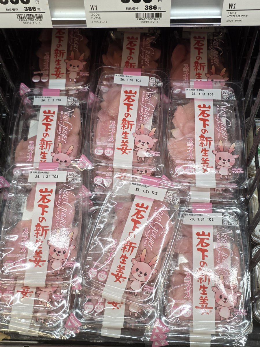 IWASHIKA0410's tweet photo. 休みの日も応援してるよ🔥
🎉 イワシカに投票したよ！
📣 世界ご当地キャラ
グランプリ（WEB）で応援中！

あなたの1票でキャラクターを応援しよう👇
#世界ご当地キャラグランプリ #応援投票 #イワシカ https://t.co/iNGfLQUzJD https://t.co/IaR3AXimCk