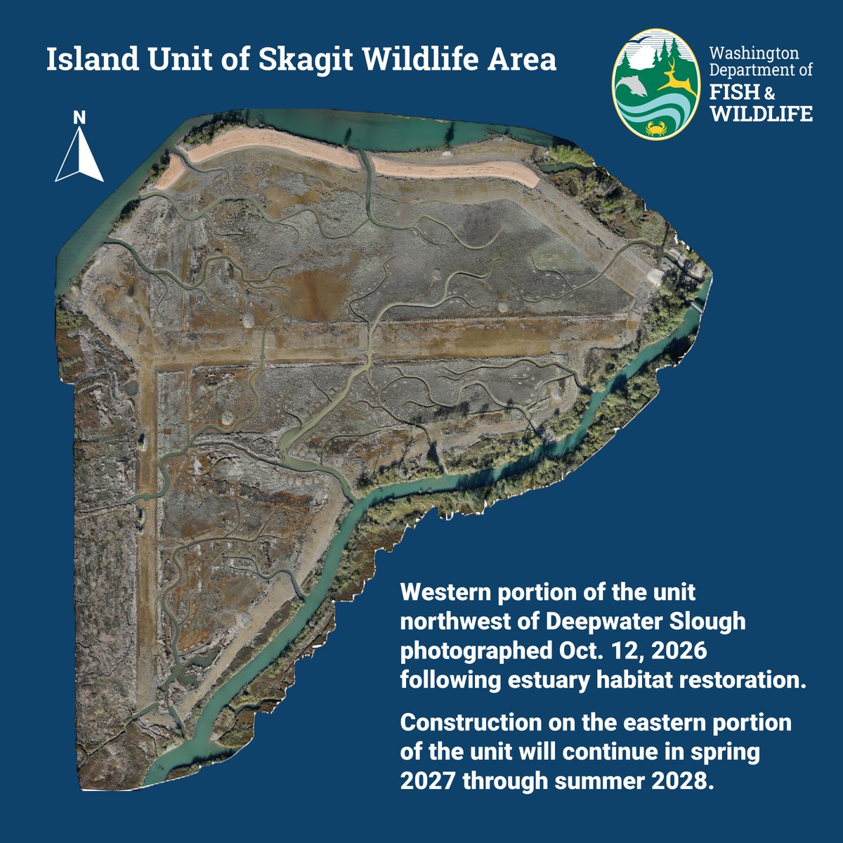 WDFW's tweet photo. Island Unit of Skagit Wildlife Area to temporarily reopen to public access Oct. 17, 2026 through March 2027.

https://t.co/YhFpeIB2aF

Estuary restoration project construction is pausing for the winter and will resume in the spring. https://t.co/1N4NQnNhZq