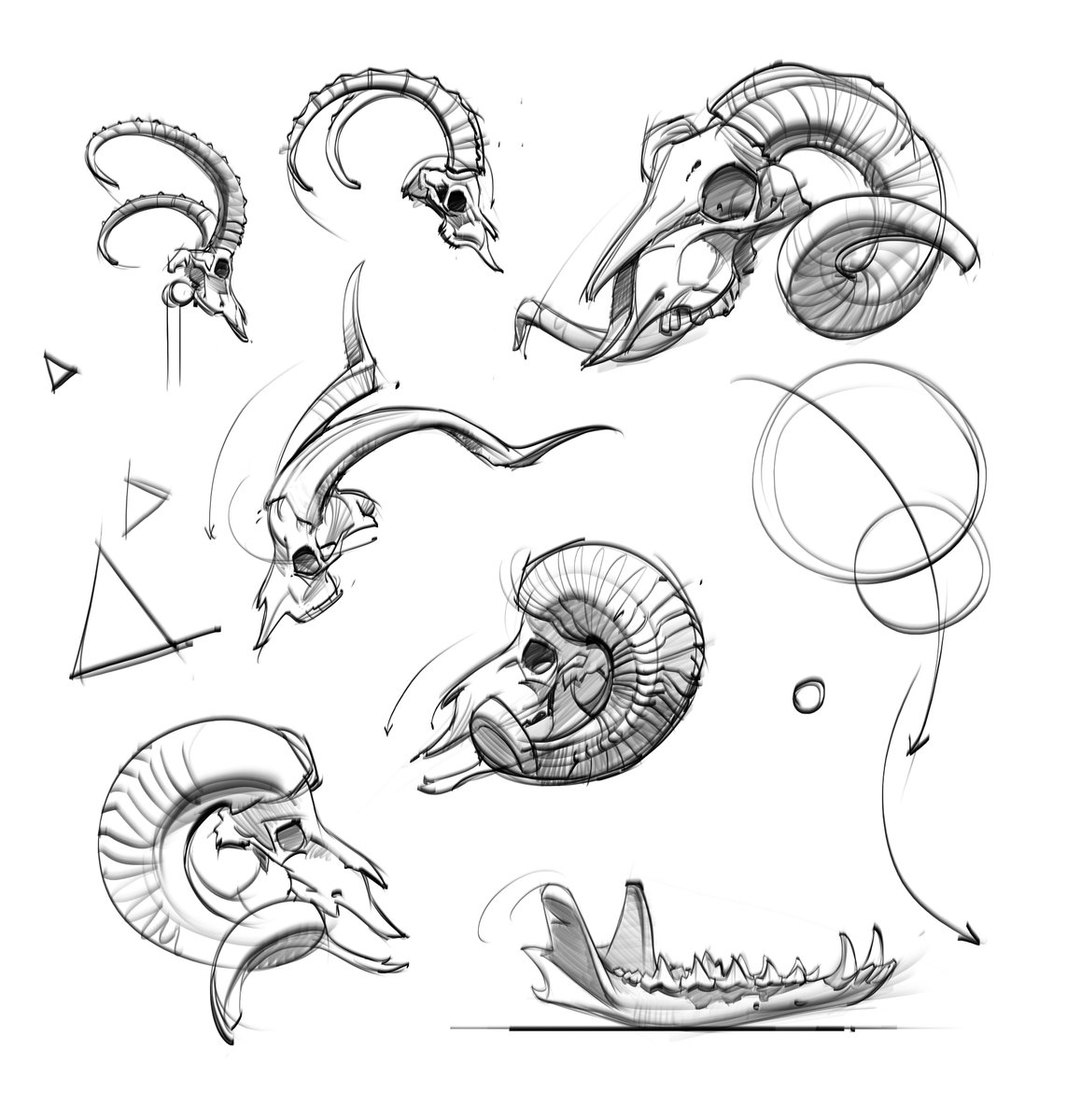 saqomolo's tweet photo. Morning animal skull sketches focusing on horn design! Ref images are from @prokotv If you use the link below you can help me out too:)
https://t.co/SNDOvNxLhp
#horns #rams #sheep #skulls #animalanatomy #anatomy #sketches #doodles #sketches #goals #lineart #gesturedrawing #skeleton