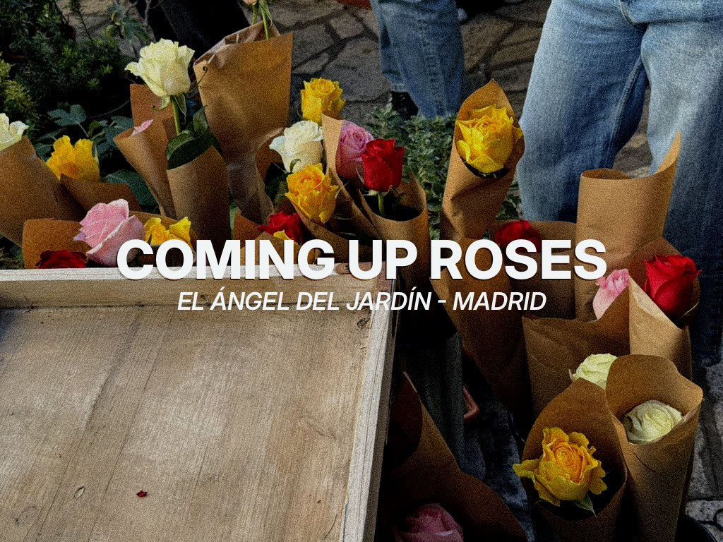 HStylesSP's tweet photo. Un pequeño recopilatorio de una mañana llena de rosas en Madrid🌹

There’s only Harry and his Harries❤️‍🩹

📸: sxndsgn / _aitapc / cgdpaz / grapejucy / offtotheraeces / FearlessH94 / blanncacherry / fmoliinaaa / Saturdays28home / pshouse28 / discoxsel / lovegoesH https://t.co/kl6MYXIyQw