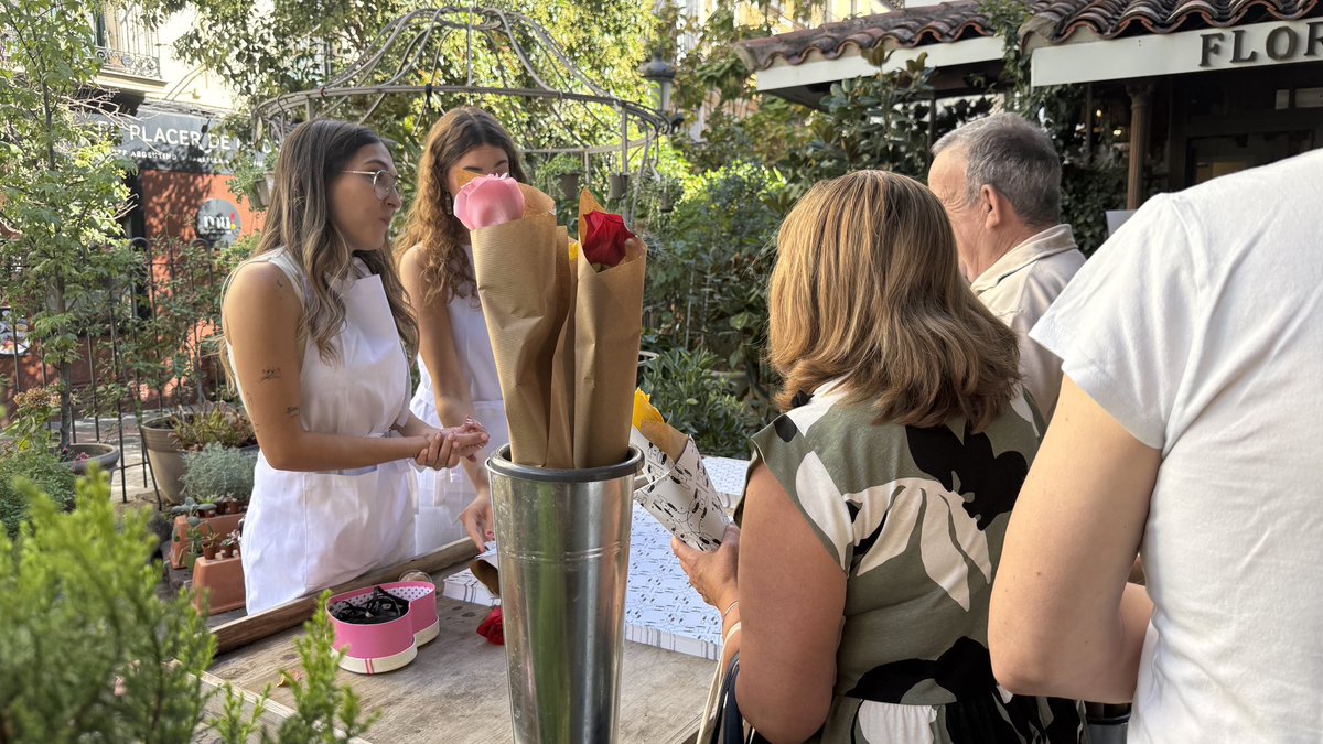 HStylesSP's tweet photo. Un pequeño recopilatorio de una mañana llena de rosas en Madrid🌹

There’s only Harry and his Harries❤️‍🩹

📸: sxndsgn / _aitapc / cgdpaz / grapejucy / offtotheraeces / FearlessH94 / blanncacherry / fmoliinaaa / Saturdays28home / pshouse28 / discoxsel / lovegoesH https://t.co/kl6MYXIyQw