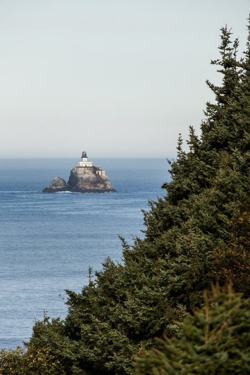 CoreyWDW's tweet photo. The morning hike in Ecola State Park was jaw dropping. This coastline is stunning. https://t.co/svzQri2vjT