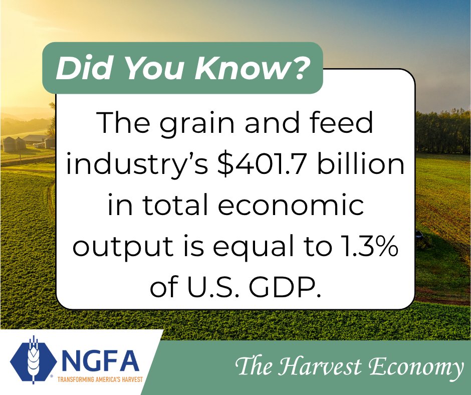 NGFA's tweet photo. Harvest season is a big deal for the grain and feed industry, and its impact reaches far beyond the farm. Take a look at the numbers behind the industry’s contribution to the U.S. economy.

Learn more here: https://t.co/H1d1M4TfGv https://t.co/XLCor0SY9V