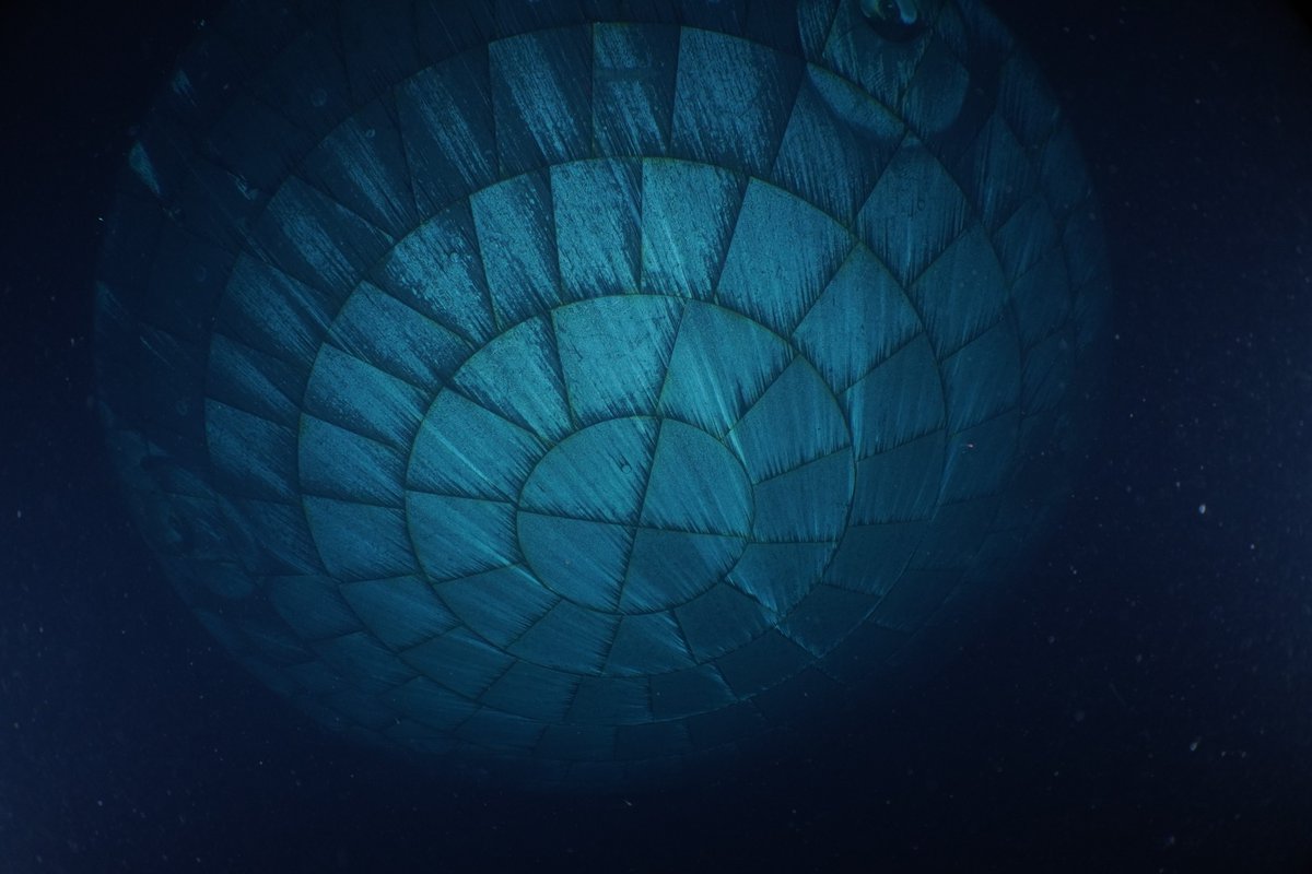 ChatwithKendall's tweet photo. Artemis II Heat Shield After Splashdown via NASA https://t.co/uRdVzvDJO5 https://t.co/KRTqNQ5vu5