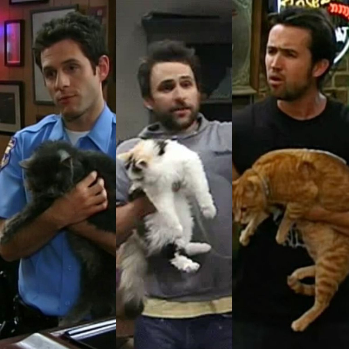 starsonceiling8's tweet photo. Happy cat day! 💛💛💛 https://t.co/ub7zMBUmsI
