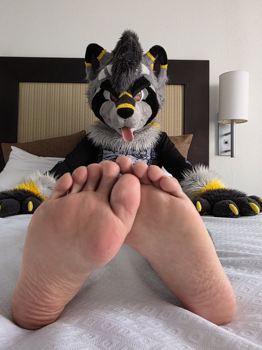 Reikkoon's tweet photo. Maybe I'll let you see all toes at once if you offer me something in return (? 👀 https://t.co/jjBpA7R18z