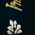 Photo by Durand Jones & The Indications (@DJ_Indications)