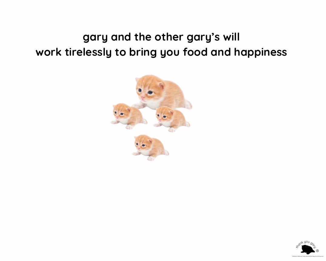 thankyougary__'s tweet photo. https://t.co/rF3V7VqR6F