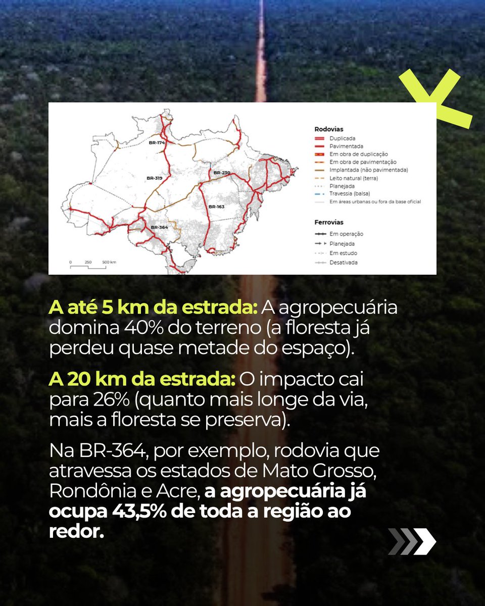 mapbiomas's tweet photo. Quanto mais perto das estradas, maior a presença da agropecuária na Amazônia.

O bioma tem 618 mil km de estradas. Até 5 km delas, a agropecuária ocupa 40% da área; a 20 km, essa fatia cai para 27%. https://t.co/10UMDhWQvx