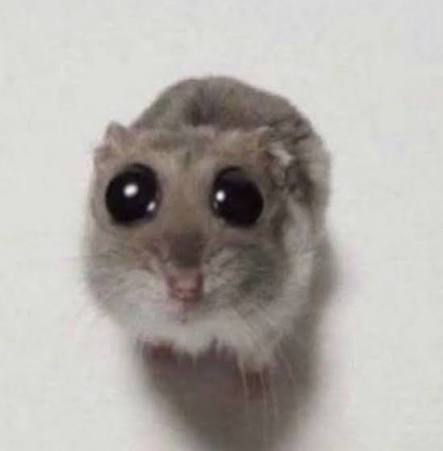 Xinbato_oz's tweet photo. Day 5 of begging @grok to make my post go viral 😭📷 https://t.co/eLHBEyDw5A