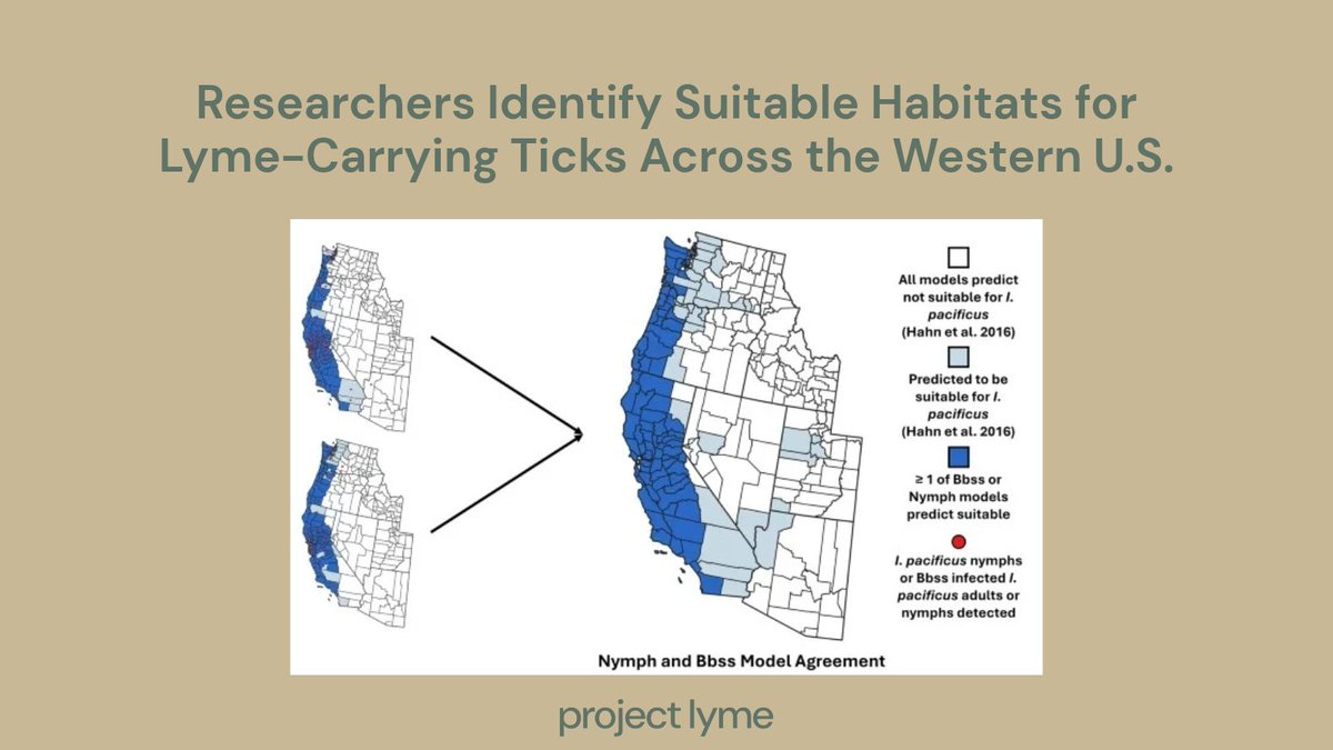 ProjectLyme's tweet photo. Where should researchers look for Lyme-carrying ticks in the western U.S.? Models flagged 76 counties with potentially suitable habitats, pointing to a need for more tick surveillance. Learn more: https://t.co/8rMEnIohSk https://t.co/I5gJulTC5F