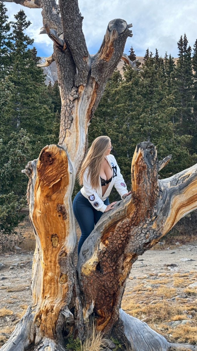 altably279's tweet photo. Nature called. I answered, then climbed it. 🌲😂 #Outdoors #ColoradoAdventures #TreeHugger https://t.co/1Qus23BhXV
