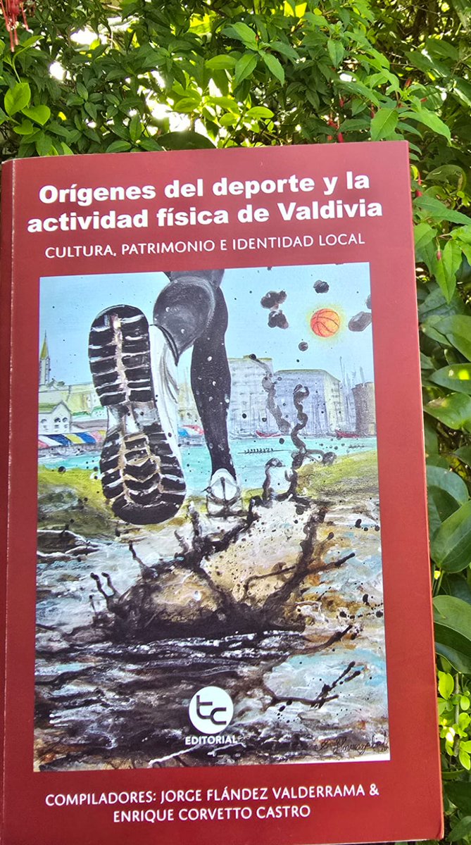 Valdivia_2024's tweet photo. ¡Hemos recibido una gran noticia! Nuestro libro "Orígenes del deporte y la actividad física de #Valdiviacl" fue premiado por la Fundación Nacional de Investigadores, Historiadores y Estadísticos del Fútbol Chileno en la categoría "Aporte a la literatura regional". 🥇👏👏👏 (1/2) https://t.co/yykwRnN1HL
