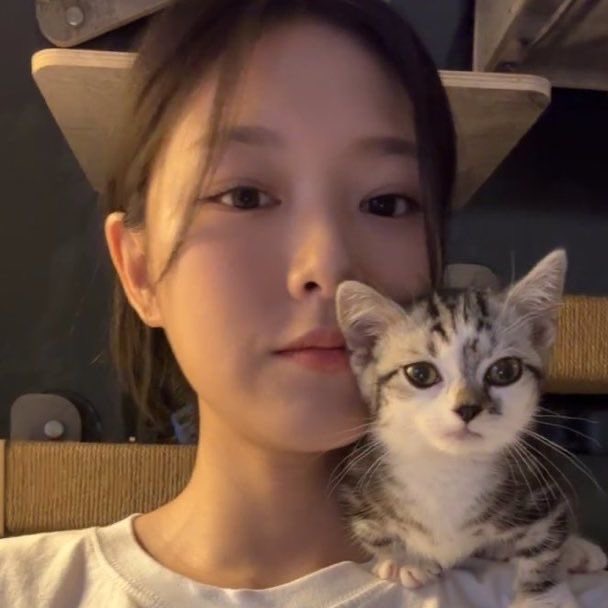 chuudict's tweet photo. Thankyou Hyunjin for giving birth to Paldo. https://t.co/hY3qt9xnWr
