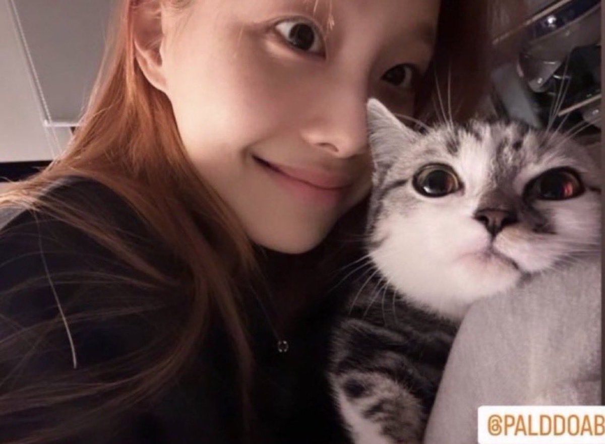 chuudict's tweet photo. Thankyou Hyunjin for giving birth to Paldo. https://t.co/hY3qt9xnWr