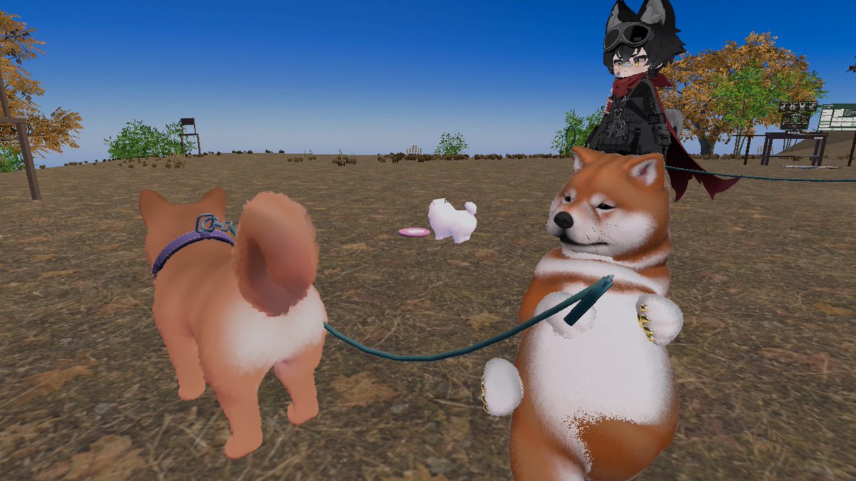 4410425sho's tweet photo. 犬は可愛いぞ
#VRChat https://t.co/R7PJmLsrdO