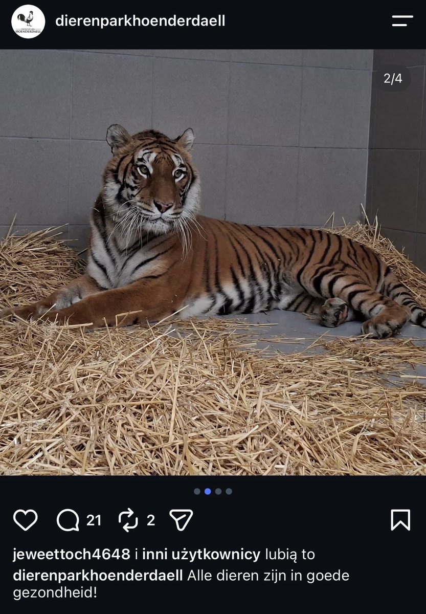 KarolPrillwitz's tweet photo. Holenderskie zoo, które przejęło
zwierzęta od Zoo Łączna informuje, że wszystkie dostarczone zwierzęta są zdrowe. Gratuluję @PolskaPolicja  wywłaszczenia polskiego przedsiębiorcy na podstawie fałszywych zeznań aktywistów. https://t.co/ecDS3EGQ6z
