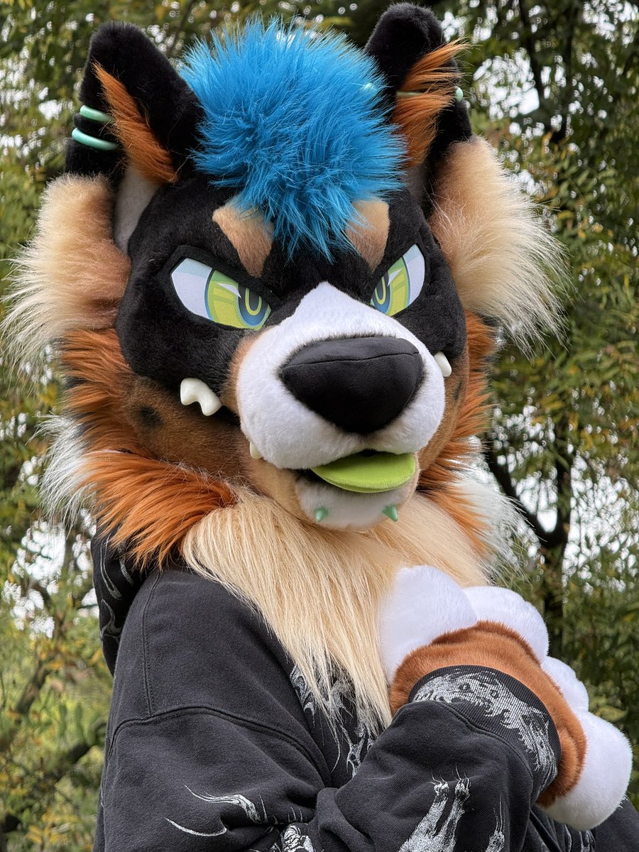 norfdog's tweet photo. 😈😈😈😈😈

📸 @AutomataDog 
🪡 @MadeFurYou + @Multicolorbark https://t.co/sK7XMsPF6z