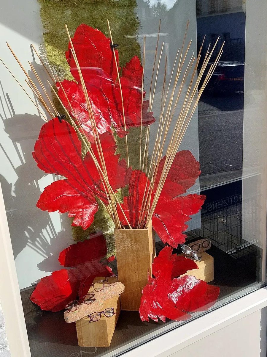 NewCreations_NL's tweet photo. 🍁☀️🍃☀️🍁 De nieuwe #etalages bij Toon #Optiek in de najaarszon 🫶 #ilovemyjob 

#etalagestyling #decoreren #etaleuseNoordBrabant #etaleuseLimburg #etaleuseVlaanderen #NewCreations #Newcreations_nl #vrouwelijkeondernemer #herfst #herfstetalages #shopwindows #windowdisplay #vm https://t.co/vIKCRodJKj