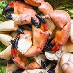 Photo by ProFish Seafood (@ProFishSeafood)