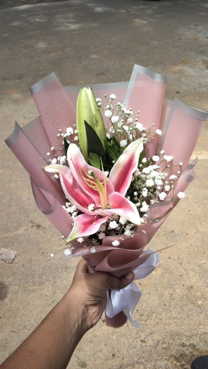 Flowersidmb's tweet photo. https://t.co/RWOfTHxnnQ