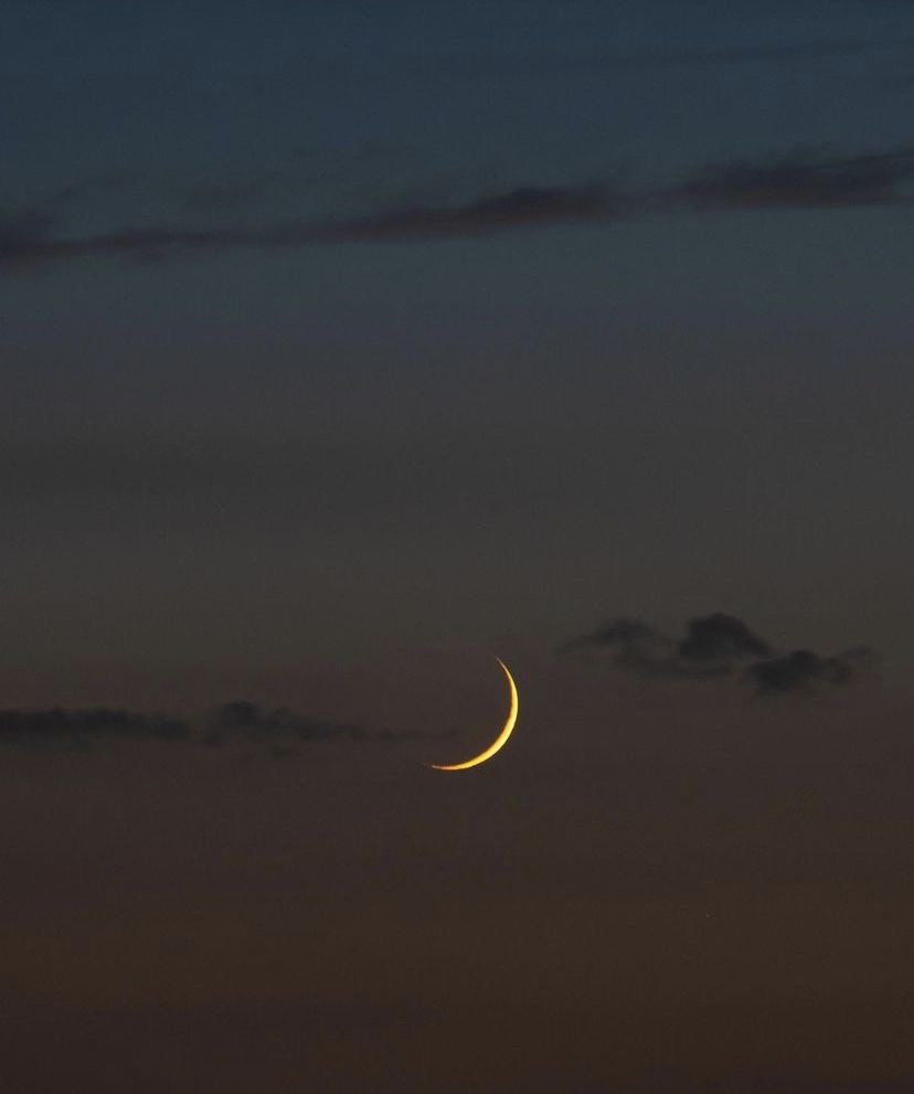 MichelangeloCat's tweet photo. Tra le nuvole e il mare, 
la luna veglia 
sui nostri sogni…
#GoodEvening 🌙🥂✨ https://t.co/8cCE3EbUyr