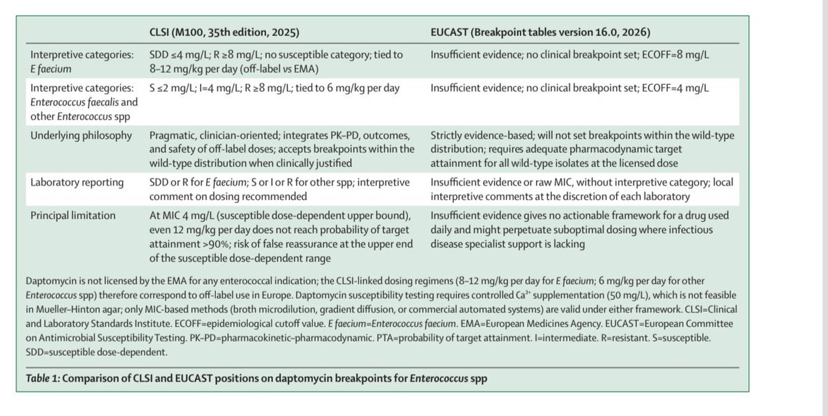 ABsteward's tweet photo. Excellent Review!
🆕💥🔴Daptomycin for enterococcal bloodstream infections and endocarditis: reconciling clinical evidence, susceptibility testing, and regulatory frameworks #idxposts #IEWiki
https://t.co/awa8jJ4D1U https://t.co/ywWGMS10ri
