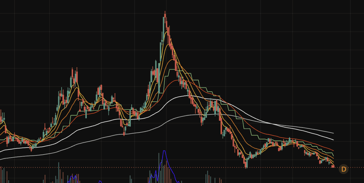 Frank trading 的图片 1