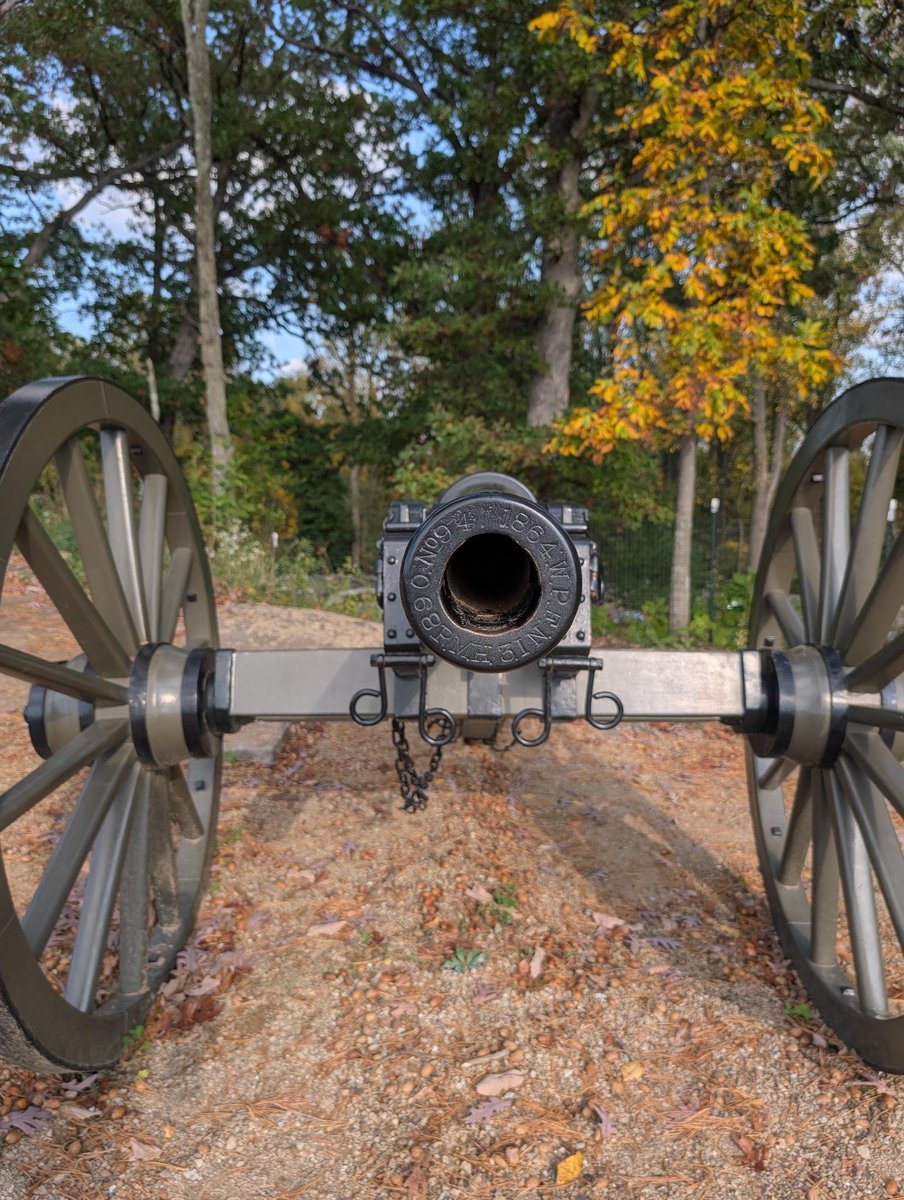 SmilingWerewolf's tweet photo. I swear as soon as I can get my angle grinder and a winch up here, these niggers are going to be down one cannon in inventory. https://t.co/GqoBRrmhA1