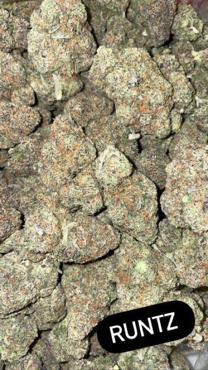 weedplugg247's tweet photo. #orlandoweed #altamonteweed #idriveweed #kissimmeeweed #weedinorlando https://t.co/sUOgxeQvNZ