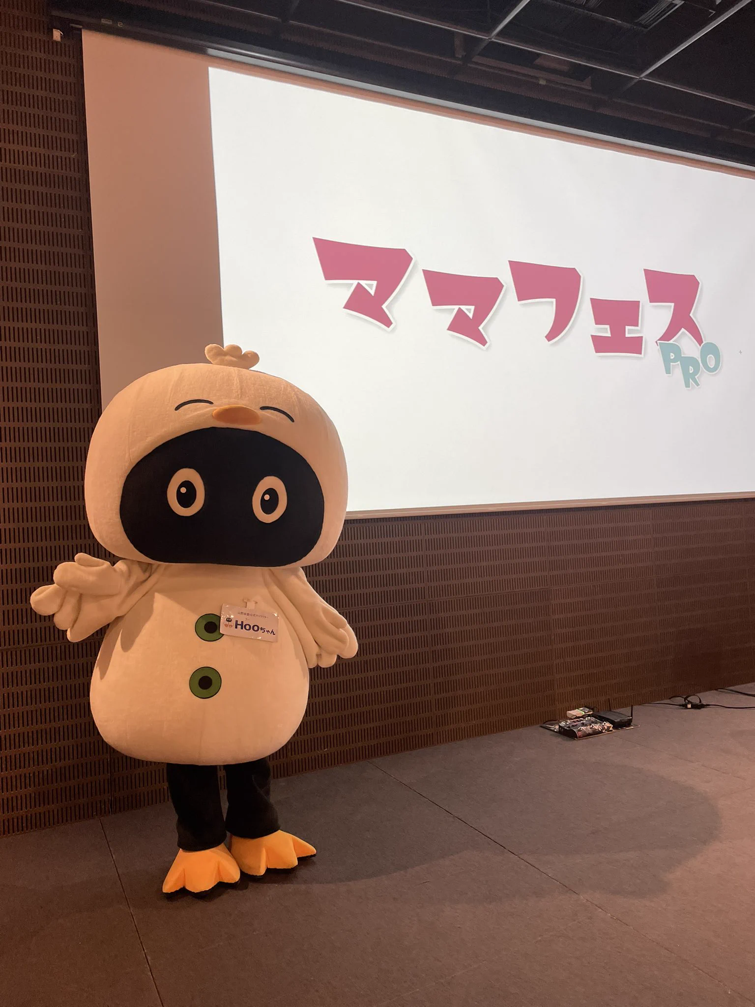 Hooちゃん🐤🎶【山野楽器公式キャラクター】 on X: 