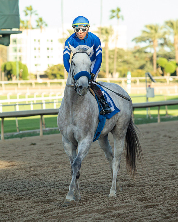 Cougzag's tweet photo. What a way to close the day as #COLUMNIST comes off a 9 month layoff to win R9 at a mile for @kazushi0096 .
Good training job by @timyakteen and his crew to have him ready today @santaanitapark @benoitphoto_ https://t.co/HjiezJL9ZX